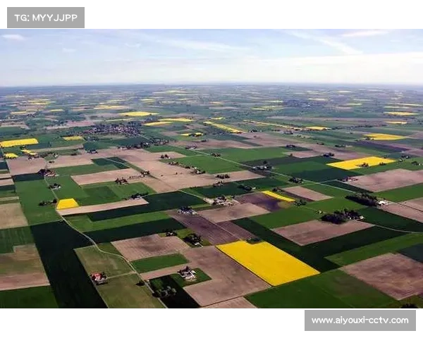 机构数据存在诱导市场过度追捧瑞典的迹象，需警惕瑞典无法赢下盘口