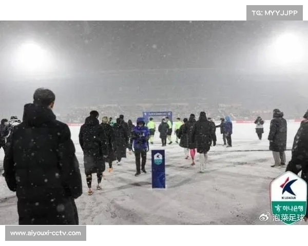 暴风雪中坚守的球迷，圣保利主场展现足球温暖力量